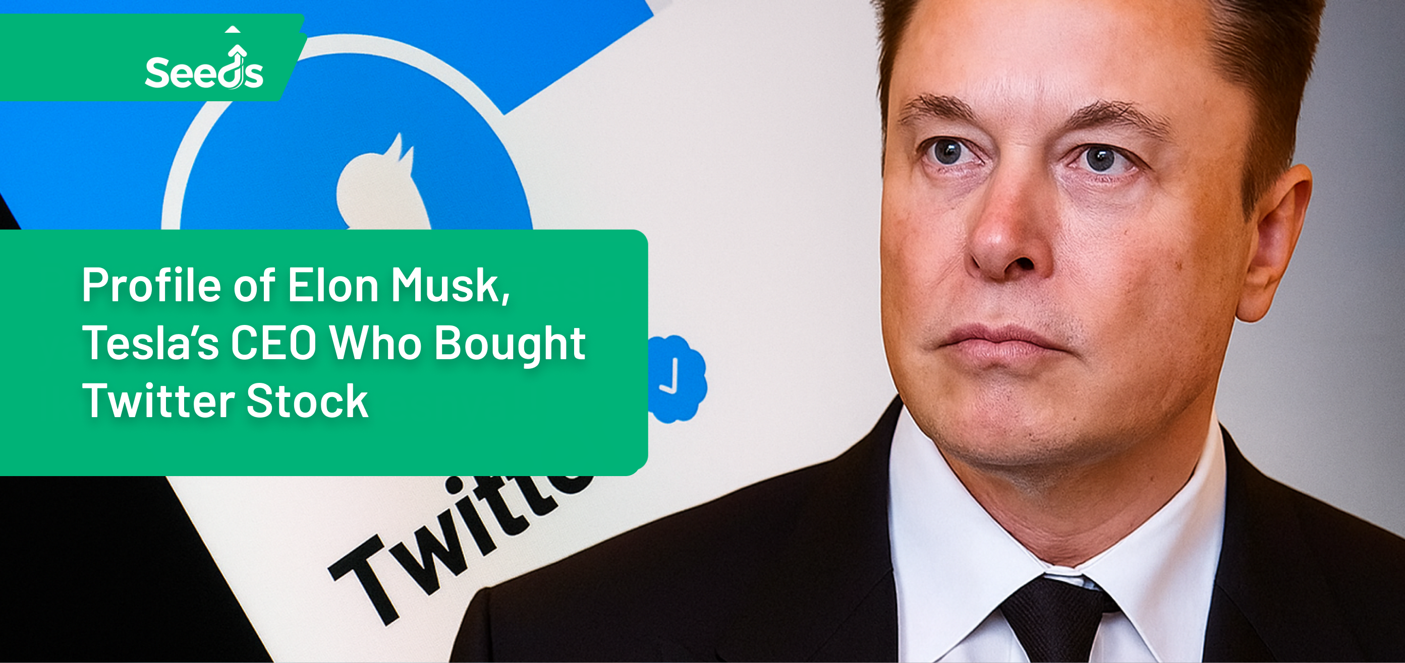 Profile of Elon Musk